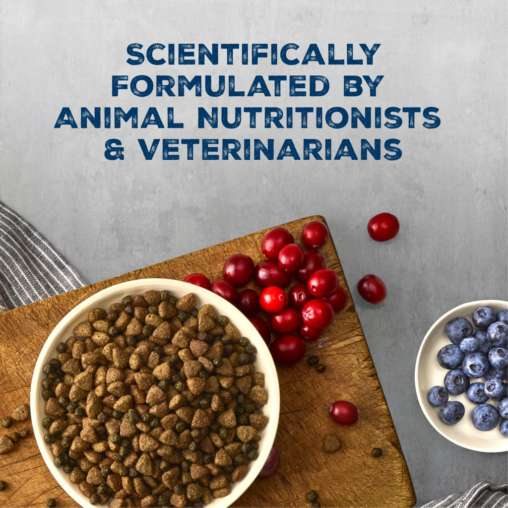 Chicken & Wholesome Grains Adult Dry Dog Food, 28lb A3206