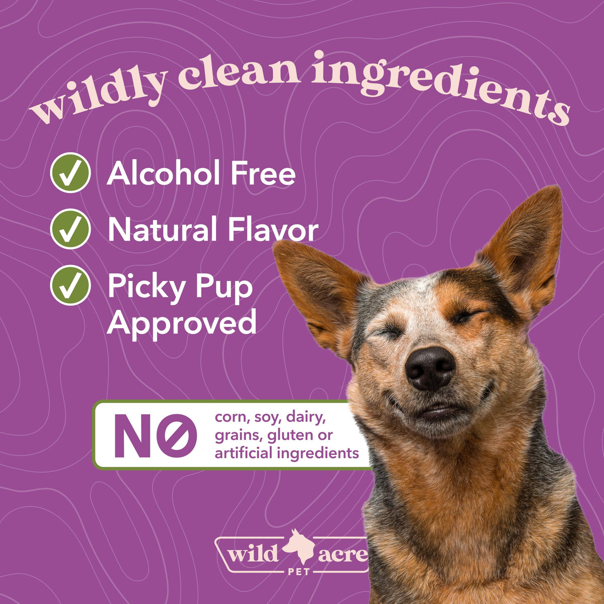 Milk Thistle for Dogs Liver Support 2 oz K529239