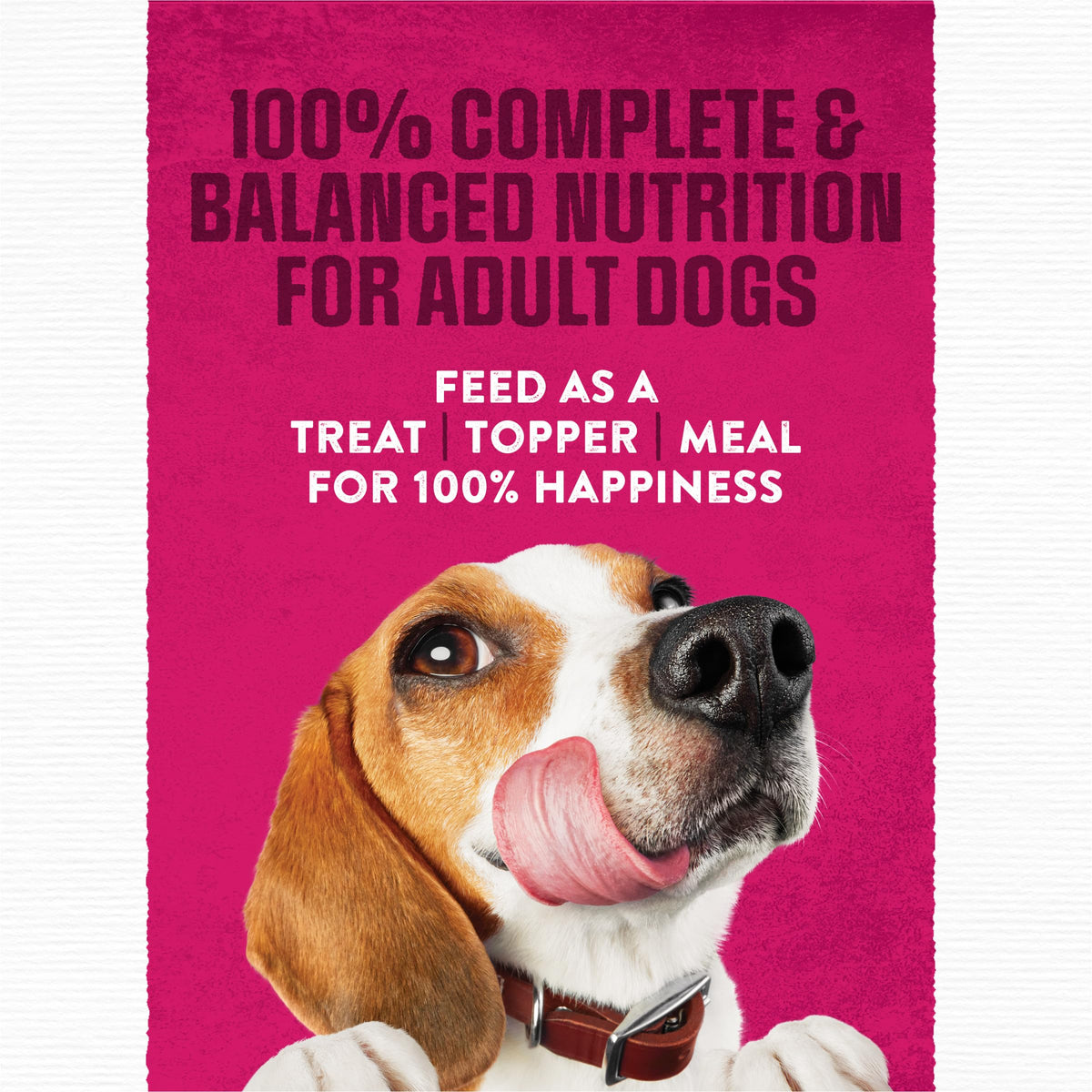 Moist & Meaty Soft Dog Food Pouches, 36 ct M338744